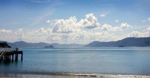 Beachfront Wellington Bed And Breakfast Экстерьер фото