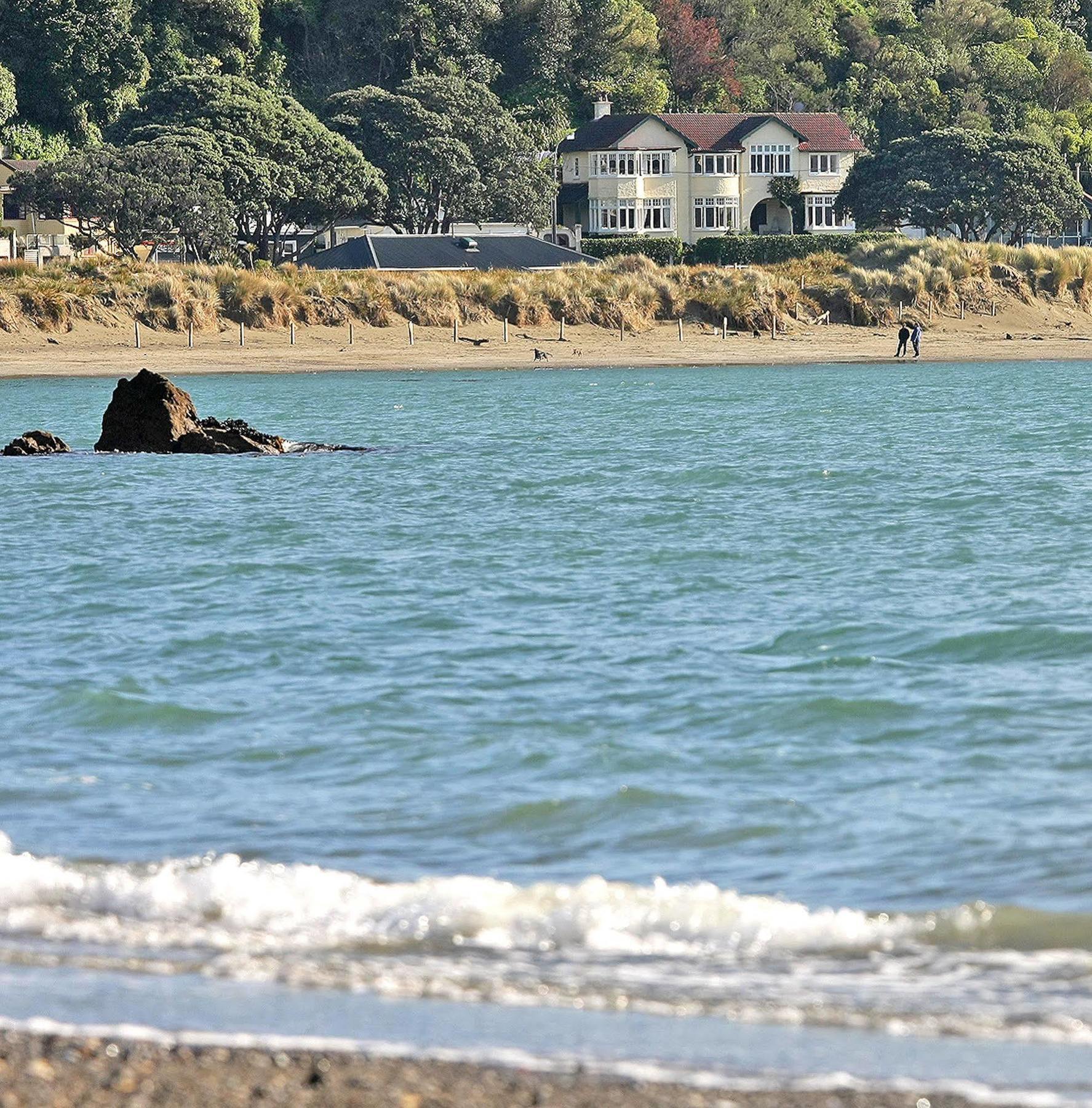 Beachfront Wellington Bed And Breakfast Экстерьер фото