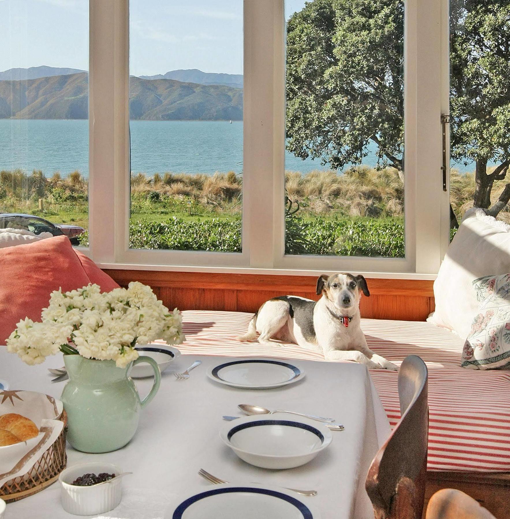 Beachfront Wellington Bed And Breakfast Экстерьер фото